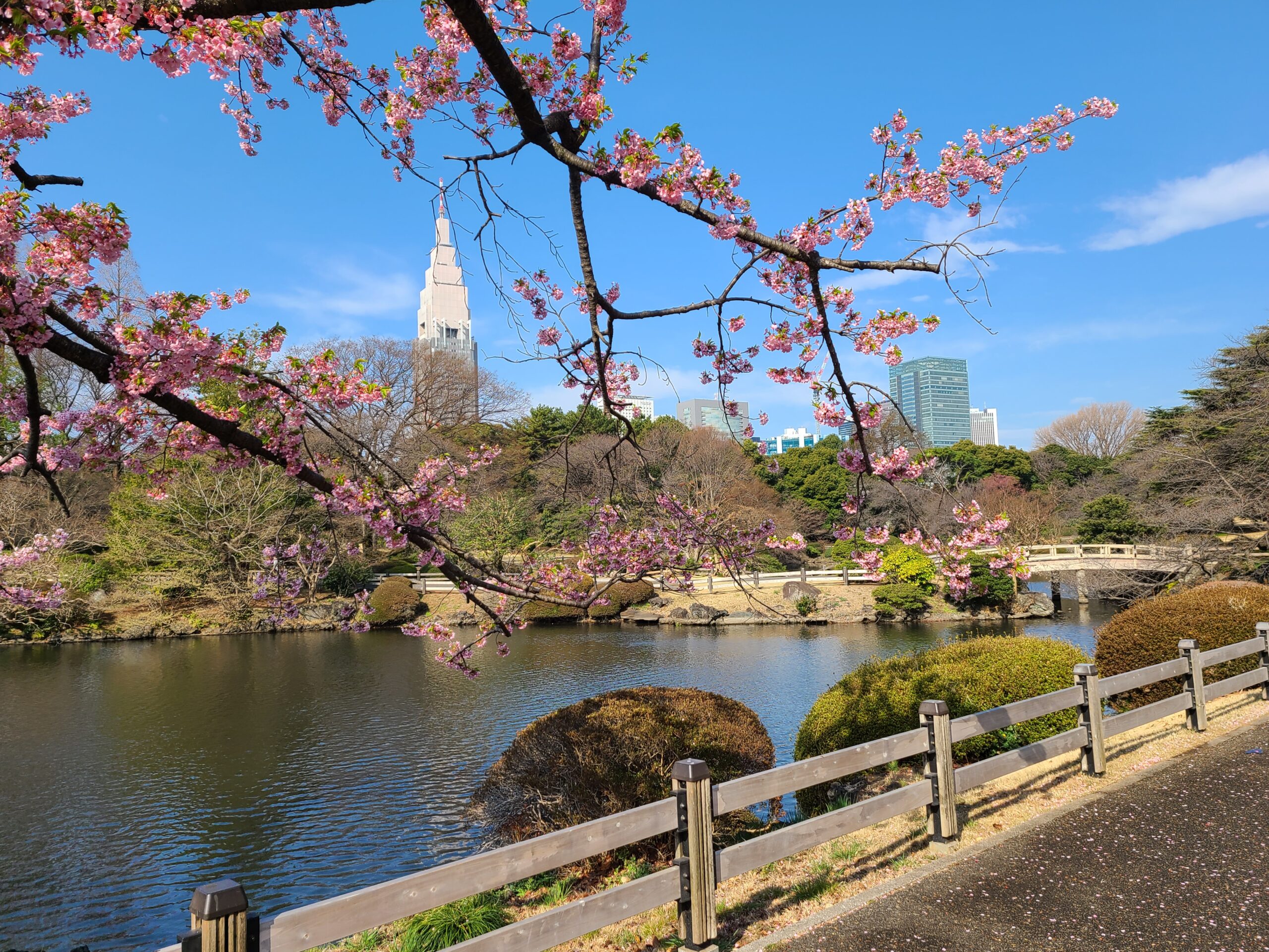 帰化